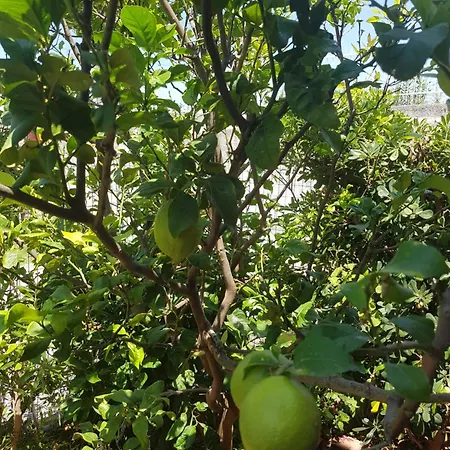 Casammare Panzió 3*